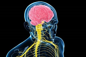 3 راه برای تنظیم سیستم عصبی