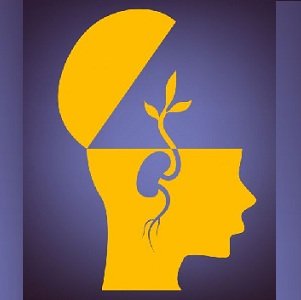 دانلود پرسشنامه هوش هیجانی شرینگ (EQ) - تراپیست