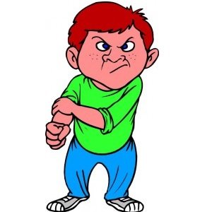 دانلود پرسشنامه قلدری ایلینویز (IBS) - تراپیست