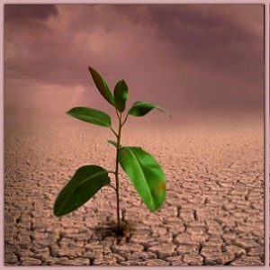دانلود پرسشنامه سرسختی سلامت (RHHI-24) - تراپیست